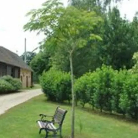 Feriehus Renove En Campagne, 3 Ch., Terrain 5000m², Proche Randonnees Et Le Mans ! - Fr-1-410-161 *